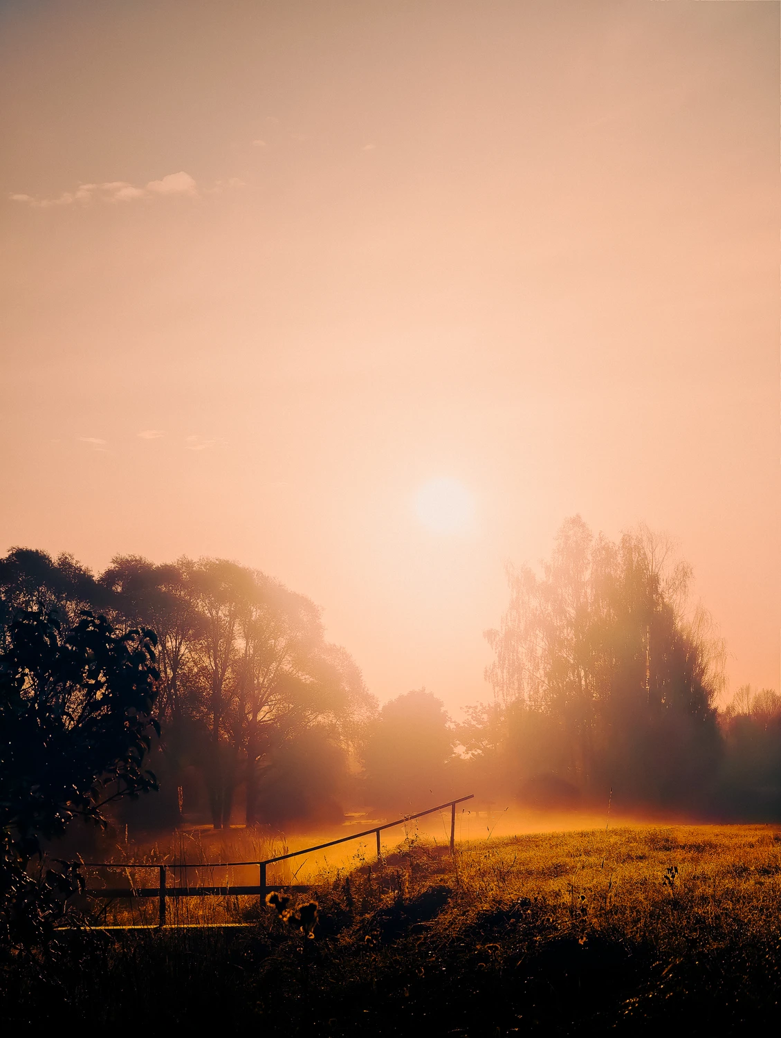 Sun rising behind a tree line over rolling fields.