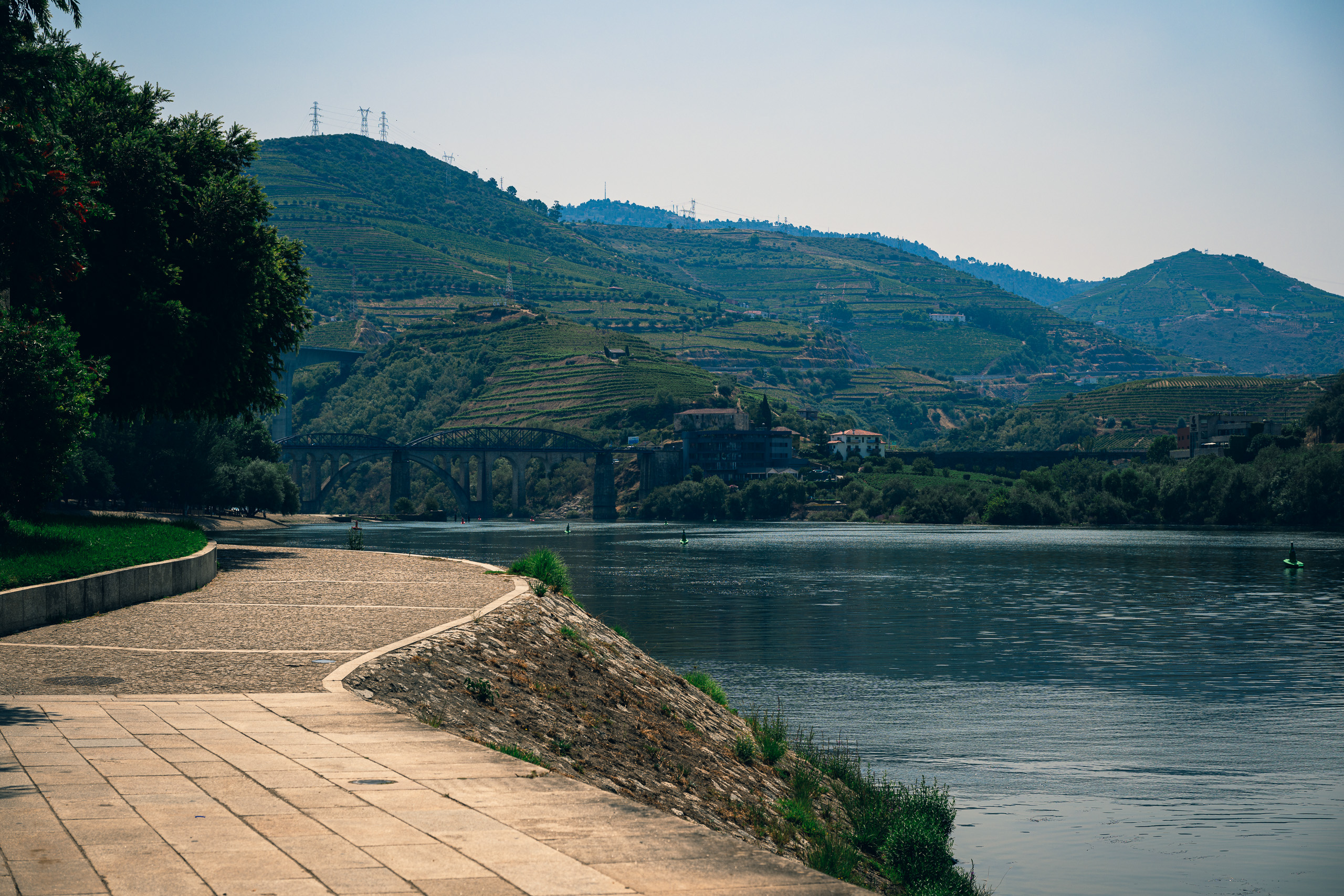 Douro jõeäär, roheline mäenõlv ning puude varjud — Vineyard Green Control presetiga.