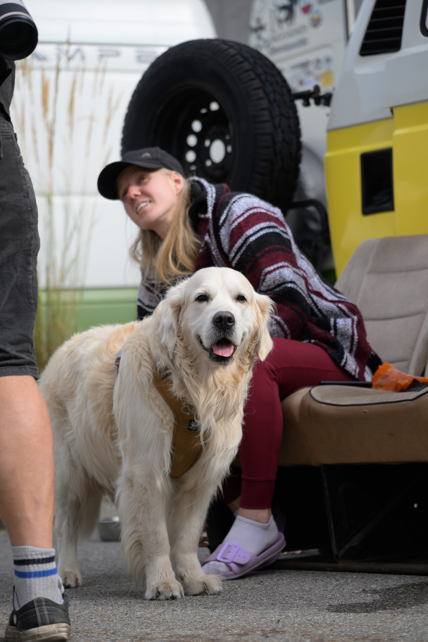 Before. A woman and a golden retriever in the shade before applying the preset.