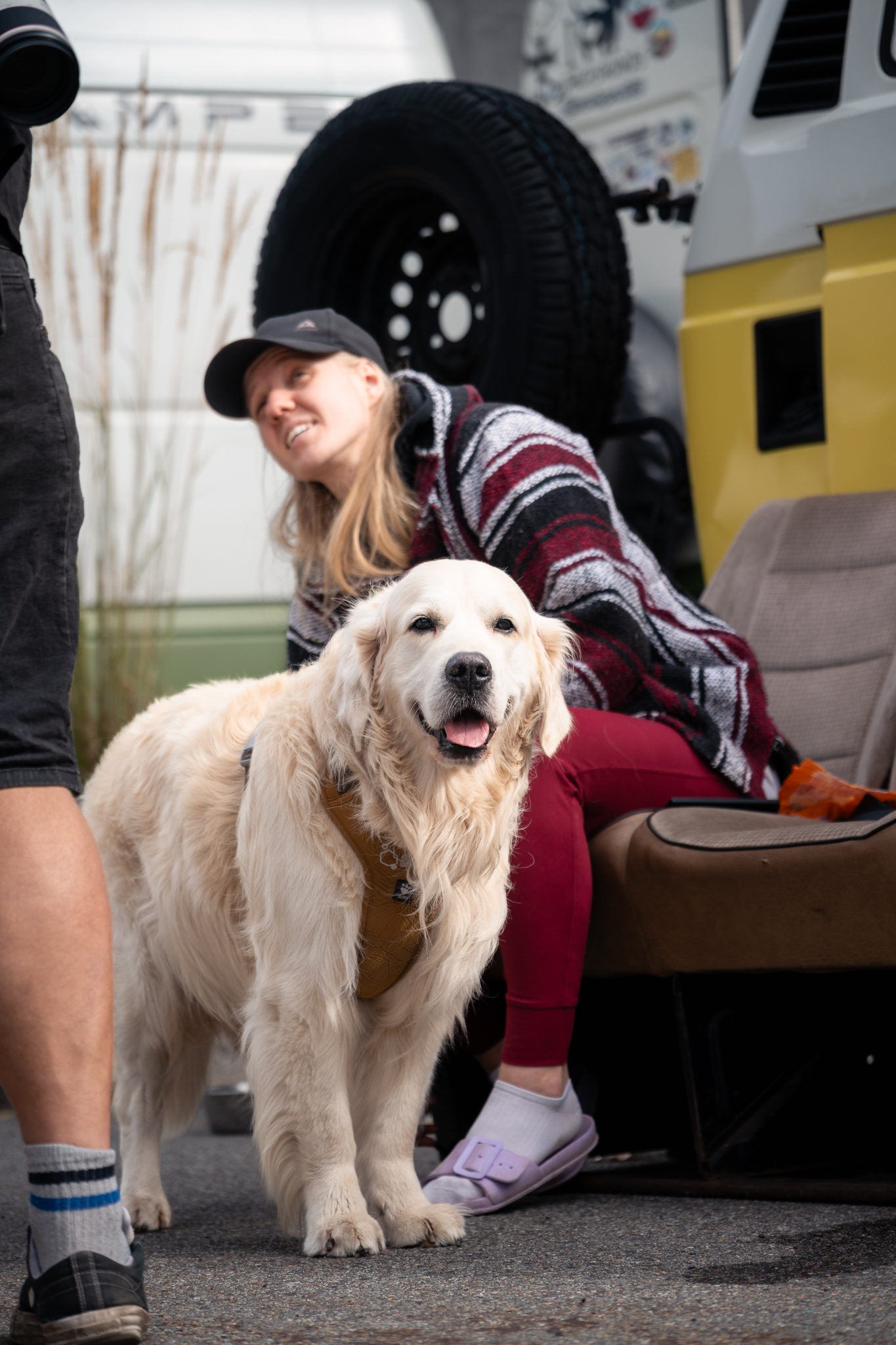 With preset. A golden retriever stands in the shade beside a camper van, with a woman seated behind it.
