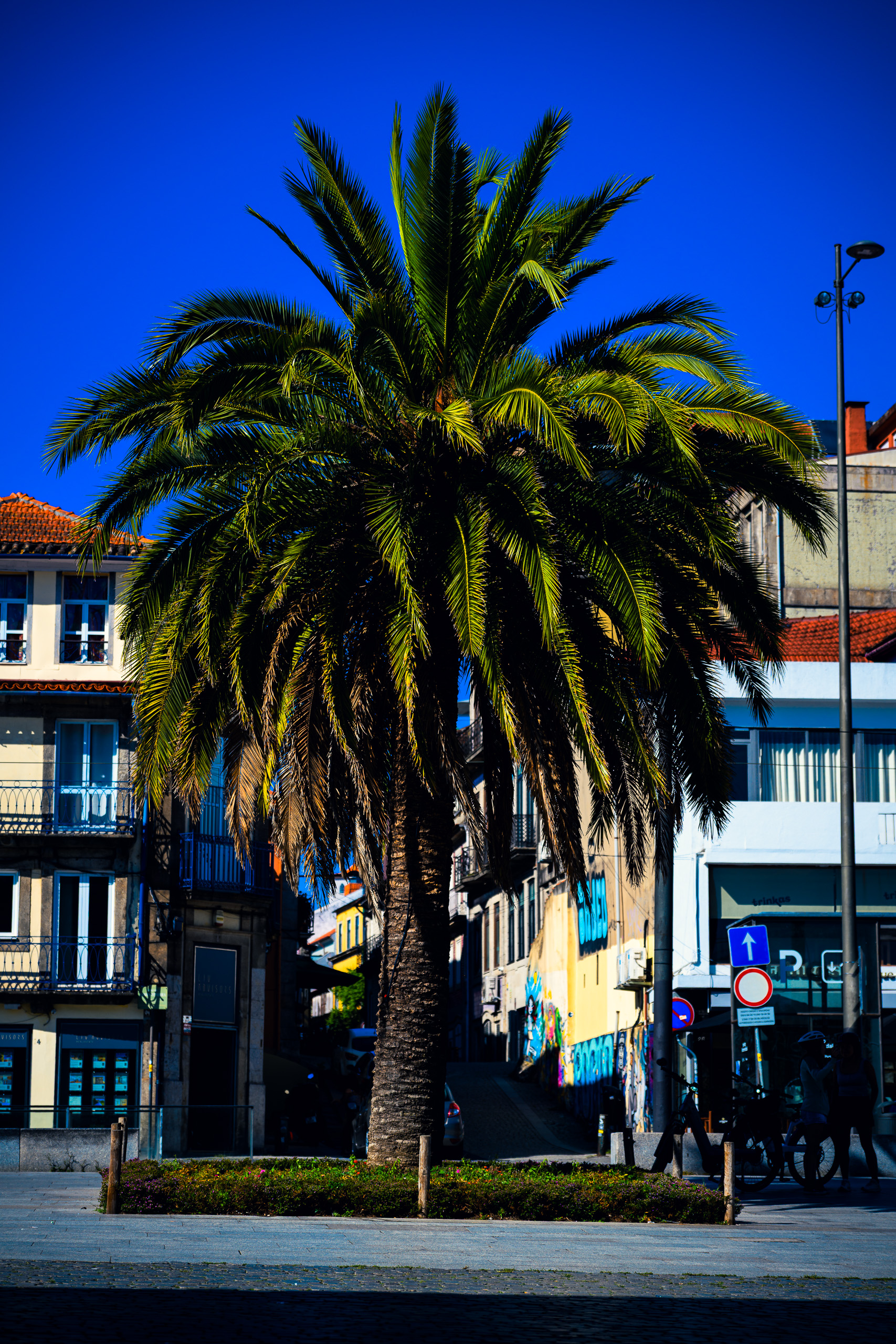 Presetiga. Palm, kivimajad ja sinine taevas Porto päevavalguses — Chrome Vivid presetiga.