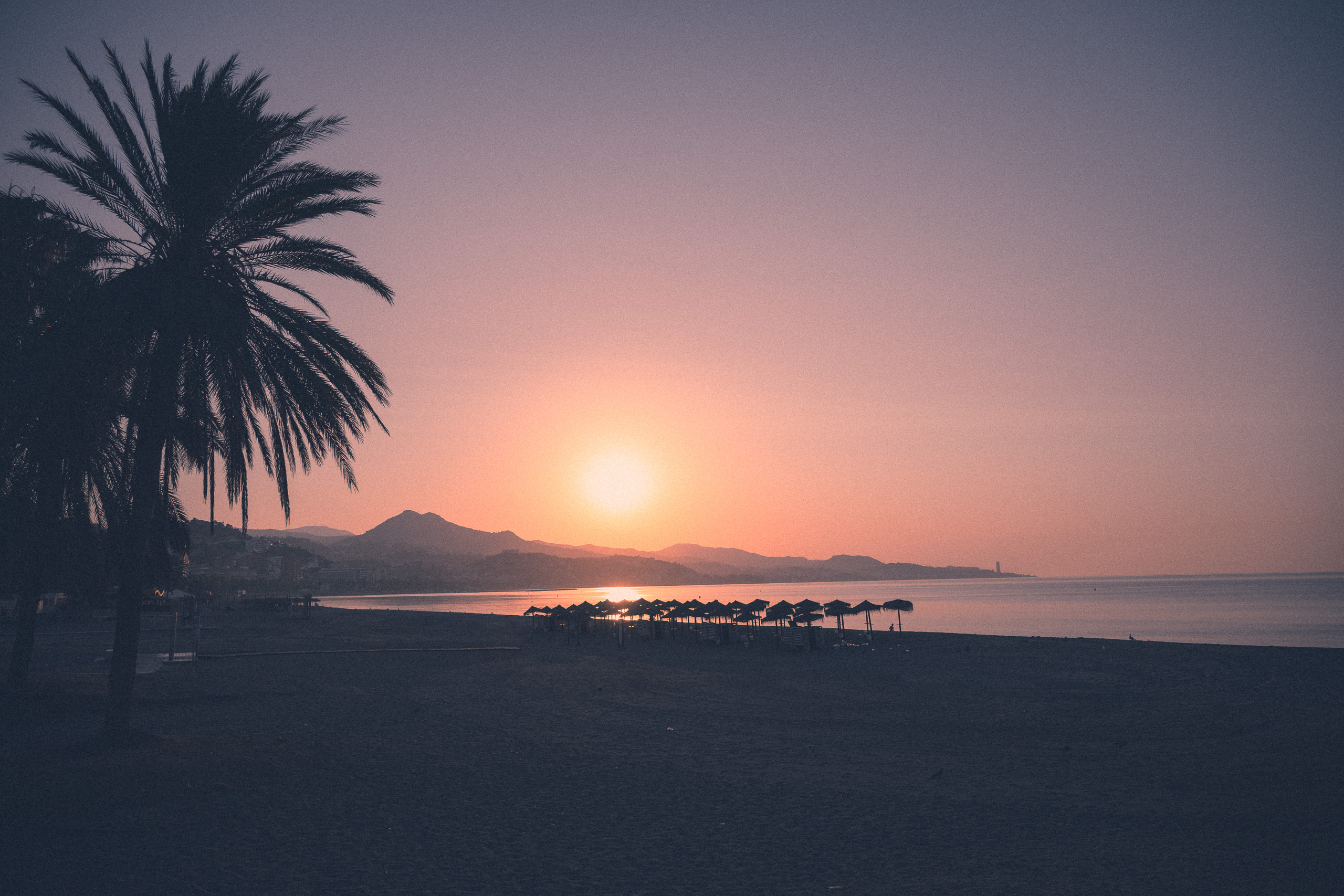 With preset. Palm and Málaga coastline at sunrise — with the Bali Palm Print preset.