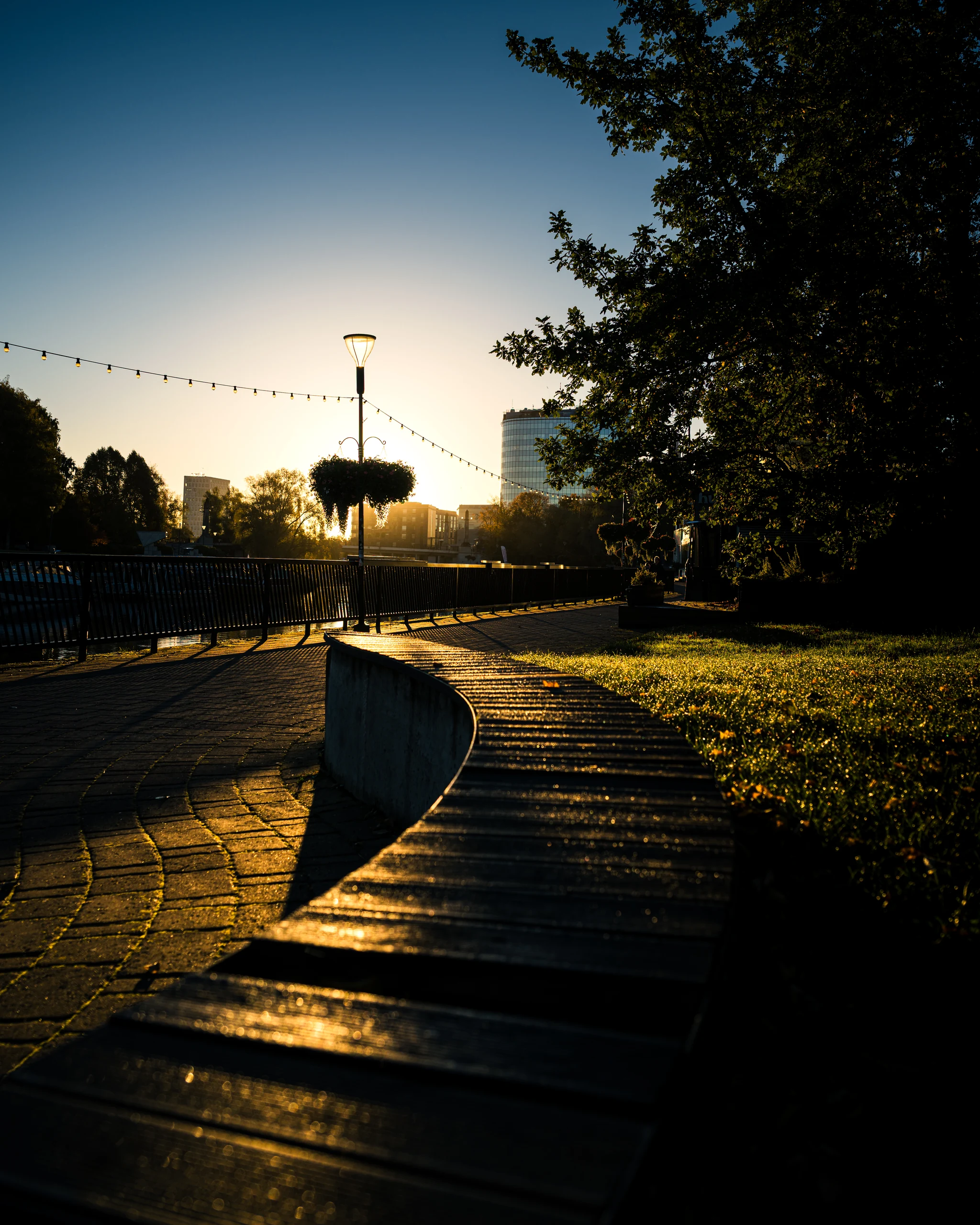 A long curved wooden bench beside the Emajõgi promenade, its edge catching golden morning light.