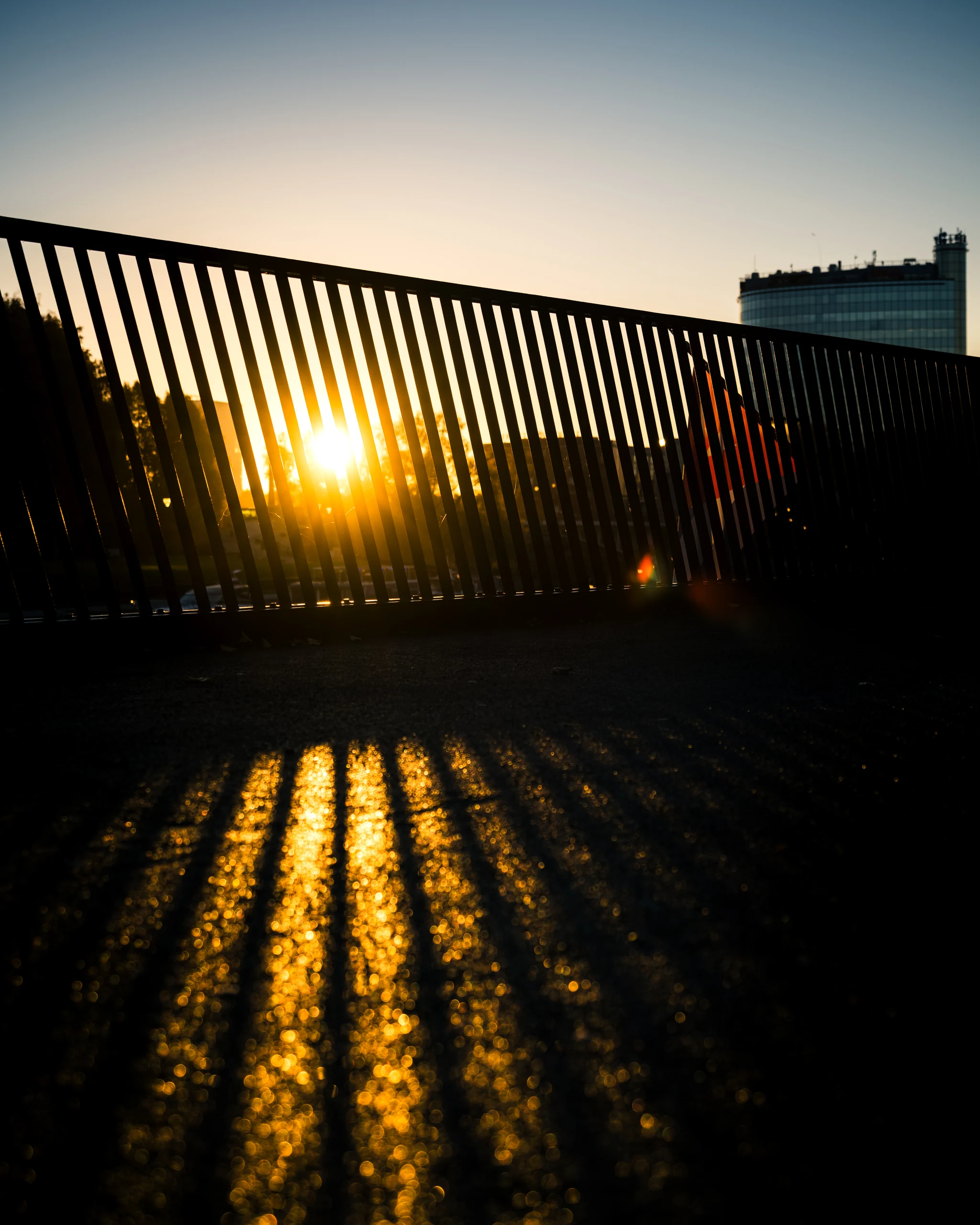 Sunlight passes through the railing of the Emajõgi promenade, forming alternating bands of light and shadow on the paving.