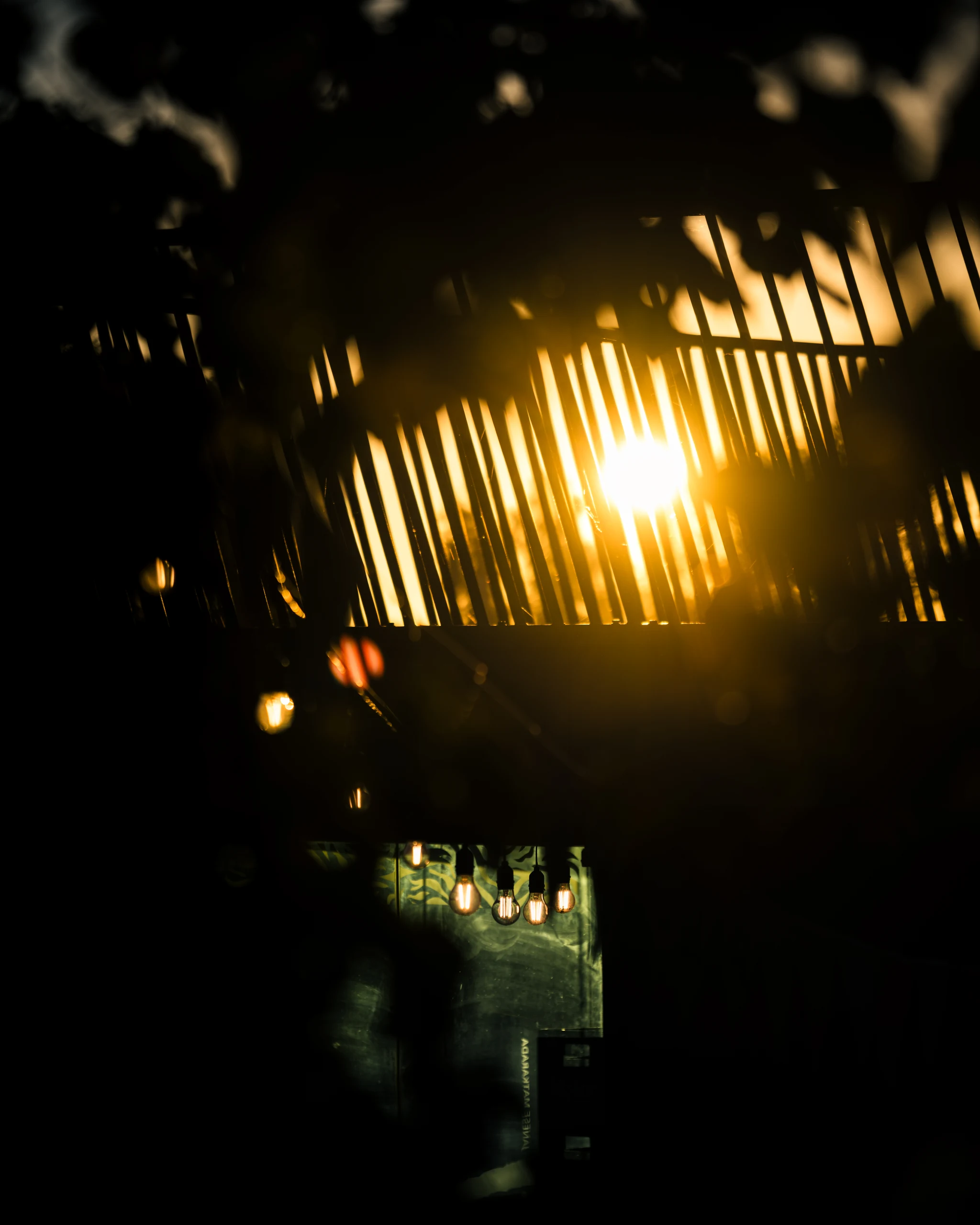 Golden sunlight shines through a grille and dark leaves, with a string of glowing light bulbs hanging below.